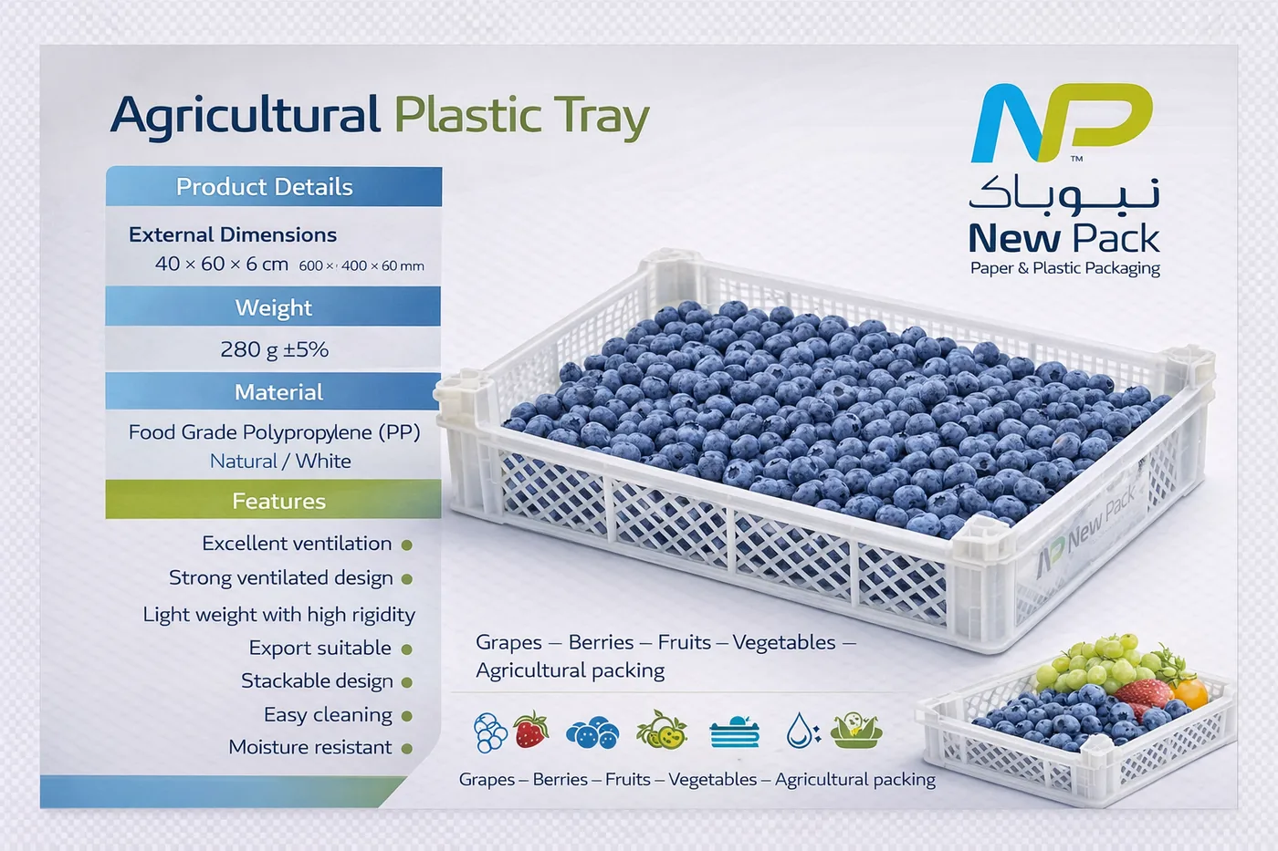 Plastic Crate 40 × 60 × 6 cm | New Pack Industrial