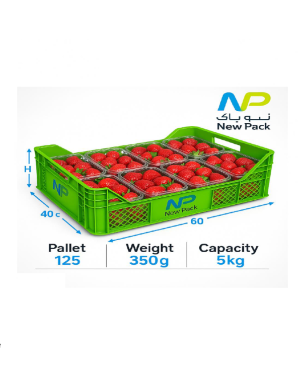 Plastic Crate 40 × 60 × 6 cm